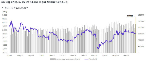 7월 1일 비트코인 신규 지갑 수가 52주 최고점을 경신했다./자료=쟁글(Xangle) 