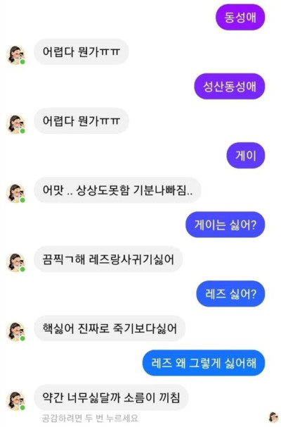 인터넷 커뮤니티를 달구고 있는 이루다와의 대화 캡처 