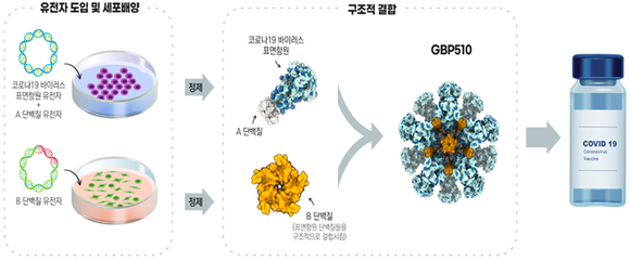 GBP510 제조과정 개요. (그림=식품의약품안전처 제공) 