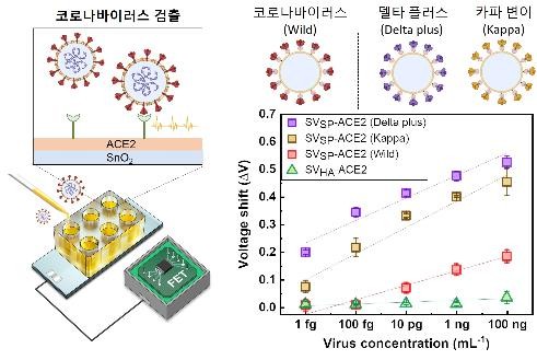 KIST 이관희 박사 연구팀의 개발한 코로나19 진단 플랫폼 개발 모식도 (사진제공: KIST) 