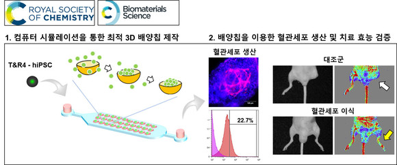 3D 배양칩 제작 및 동물 실험 효능 검증 설명 자료 (출처:티앤알바이오팹) 