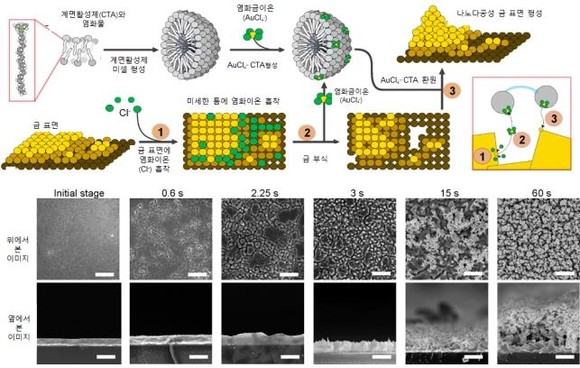 나노구조 및 나노다공성 금 표면을 생성하는 메커니즘 (출처: 기초과학연구원 IBS) 