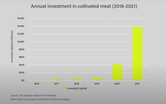  배양육 투자는 2021년 급격히 증가했다. (출처: the verge 유튜브 계정 'Seeker' 갈무리) 