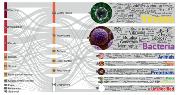 이상기후로 인해 악화되는 질병 감염경로를 지도 형식으로 정리했다. (출처: Natural Climate Change) 