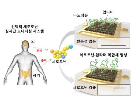 전도성 나노섬유 기반 체내분비 신경전달물질 실시간 검출 모식도 (출처: 한국생명공학연구원) 