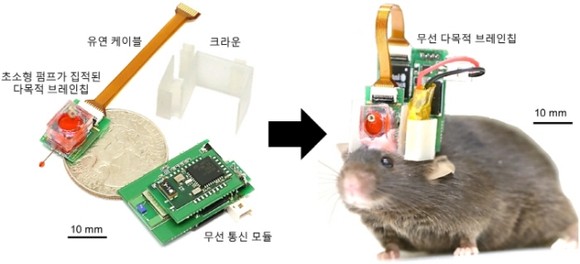 약물 주입과 뇌신호 측정이 동시에 가능한 무선 다목적 브레인칩과 이를 장착한 생쥐 