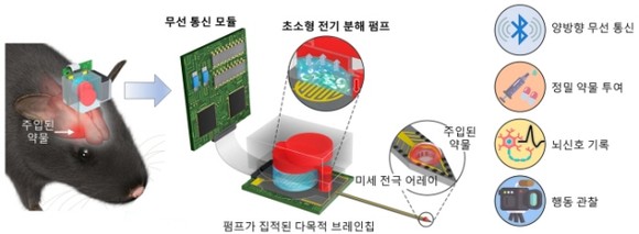 브레인칩 개략도 및 각각의 역할 