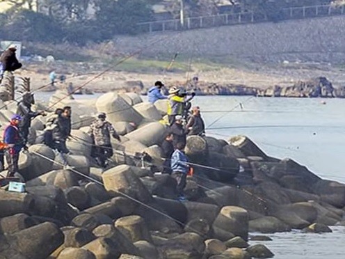 사진은 본 기사와 무관함. 