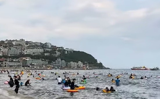 사진은 본 기사와 무관함. 