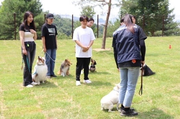 13일 LG유플러스는 한국반려견평생교육원, 페츠콤과 함께 경기도 용인시에 ‘포동스쿨’ 고객을 위한 반려견 훈련소를 공식 오픈했다. 사진은 포동스쿨 훈련사가 반려견들에게 산책 등 전문 교육을 진행하는 모습. [ⓒ LG유플러스]