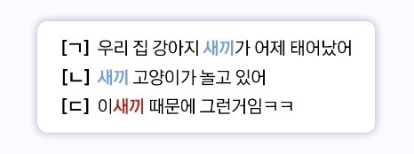 세이프봇은 ‘새끼’가 ‘낳은 지 얼마 되지 않은 어린 동물’을 의미하는지 ‘어떤 사람을 욕해 이르는 말’인지 문맥을 이해한다. 이에 따라 (ㄱ),(ㄴ) 문장에서 사용된 단어는 가리지 않고 (ㄷ)문장에서만 해당 단어를 가리기 대상으로 판단한다 [ⓒ 카카오]