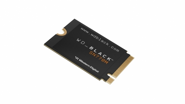 WD BLACK SN770M NVMe SSD [사진=WD]