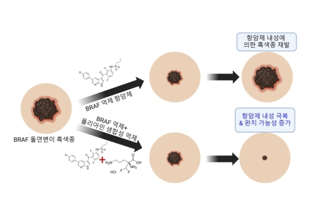 [ⓒ 한국과학기술연구원]