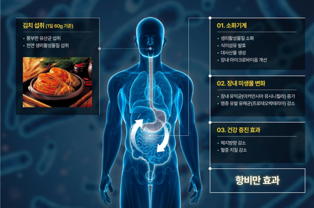 [ⓒ 세계김치연구소]